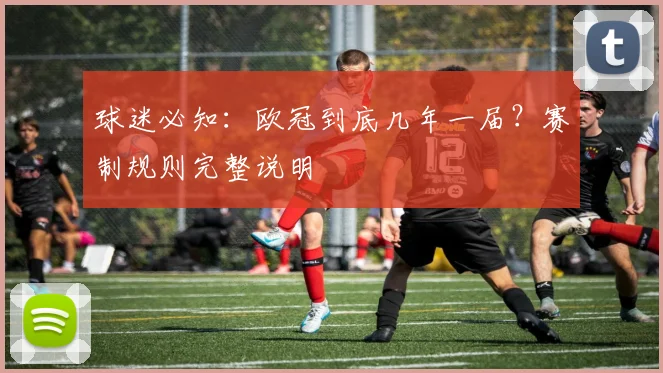球迷必知：欧冠到底几年一届？赛制规则完整说明