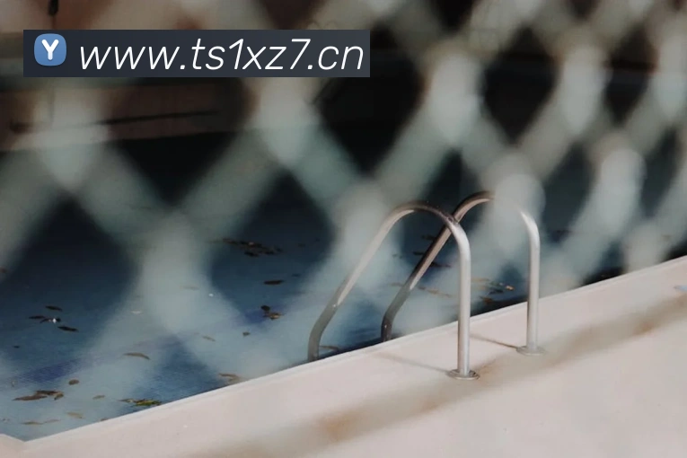 半岛官网在线登陆APP 封面图